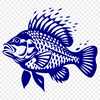 Beautiful Fish Vector Drawing