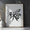 Beautiful Bee Vector Drawing