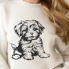 Beautiful Havanese PDF - Free Commercial Use Download