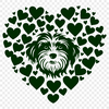 Beautiful Havanese - Procreate PDF Free Download