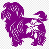 Free Havanese In SVG Format - Free Download