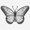 Unique Insect Image In SVG For Free Download