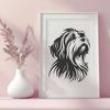 Unique Havanese - Procreate DXF