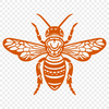 Stunning Insect Vector Art - Free PDF