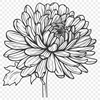 Free Unique Flower Vector Illustration