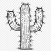 Free Artistic Cactus Template