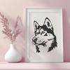 Creative Husky - Animal PNG