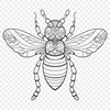 Insect Printable Artwork In PNG File Format For Free Download