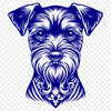 Stunning Miniature Schnauzer DXF