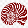 Seashell Vector Image In SVG File Format For Free Download