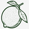 Artistic Fruit In SVG - Free Digital Download