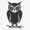 Stunning Perched Owl PDF