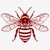 Beautiful Insect In DXF - Free Digital Download