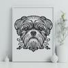 Free Beautiful Shih Tzu - Free DXF Download, Commercial Use