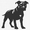 Free Pitbull In PNG Free Commercial Use Download