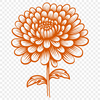 Floral Flower PNG