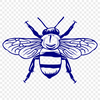 Creative Bee In SVG, PNG, PDF And DXF File Formats - Free