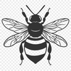 Beautiful Bee Drawing In PDF For Free Download