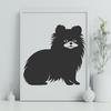 Creative Standing Pomeranian Image