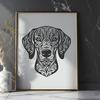 Weimaraner Printable Image In DXF File Format For Free Download