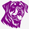 Rottweiler Vector Illustration In SVG, PNG, PDF And DXF Formats