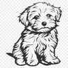 Beautiful Havanese - Craft PDF Free Download