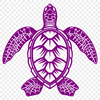 Beautiful Sea Turtle SVGs - Free Download