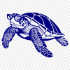 Creative Sea Turtle - For Animal Project