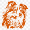 Stunning Shetland Sheepdog - PNG For Commercial Use