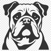 Beautiful Dog Vector Illustration - Free DXF Download