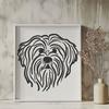 Artistic Havanese - Animal PNG