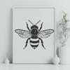 Free Bee Design