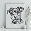 Stunning Miniature Schnauzer Printable Image - Free SVG Download