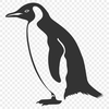 Penguin In SVGs - Free Commercial Use License