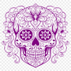 Artistic Skull Vector Drawing - Free PNG