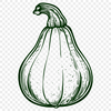 Creative Squash In SVG - For Free Download, Commercial Use