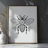 Unique Bee Drawing In PDF For Free Download