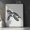 Free Sea Turtle - Procreate PNG