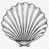 Seashell Decal In SVG File Format For Free Download