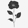 Floral Flower In SVG Format - Free Download