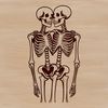 Love Skeleton Valentine's Day Graphics A pair of skeletons holding hands with a heart-shaped banner between them, in a romantic Valentine's Day theme.