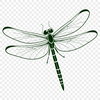Detailed Dragonfly SVG Design An SVG file containing the design of a dragonfly with intricate details and fine lines.