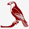 Bird of Prey SVG Design A sleek bird of prey with sharp talons and wings outstretched in flight.