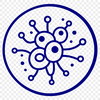 Illustration of a single bacterium with detailed cellular structure.