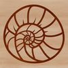 Realistic Seashell Design SVG File An isolated view of a realistic seashell, ideal for use in seaside-themed vector art projects and templates.