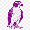 Falcon Illustration SVG File A detailed illustration of a falcon in vector format for commercial and personal use.