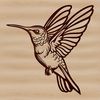 Hummingbird Close-up Vector Art Close-up of a hummingbird's wings and body, designed as a digital clip art.