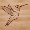 Free Bird Clipart for Designers A detailed vector art depiction of a hummingbird, ideal for use with Cricut, Procreate, or Adobe Illustrator software.