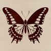 A colorful illustration of a butterfly with delicate wings, suitable for vector design and cutting machine projects.
