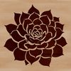 A vector graphic representation of a succulent, suitable for use in gardening designs and projects.